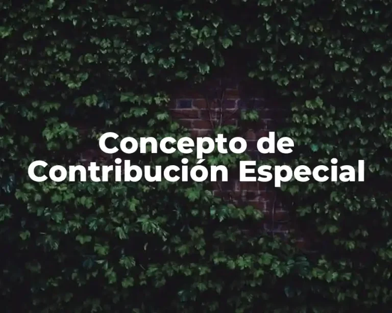 Concepto de Contribución Especial
