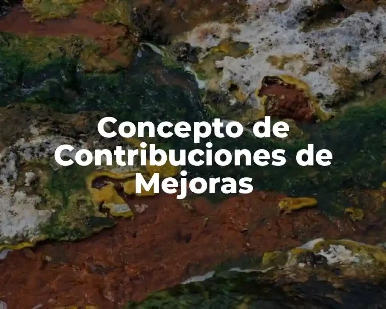 Concepto de Contribuciones de Mejoras
