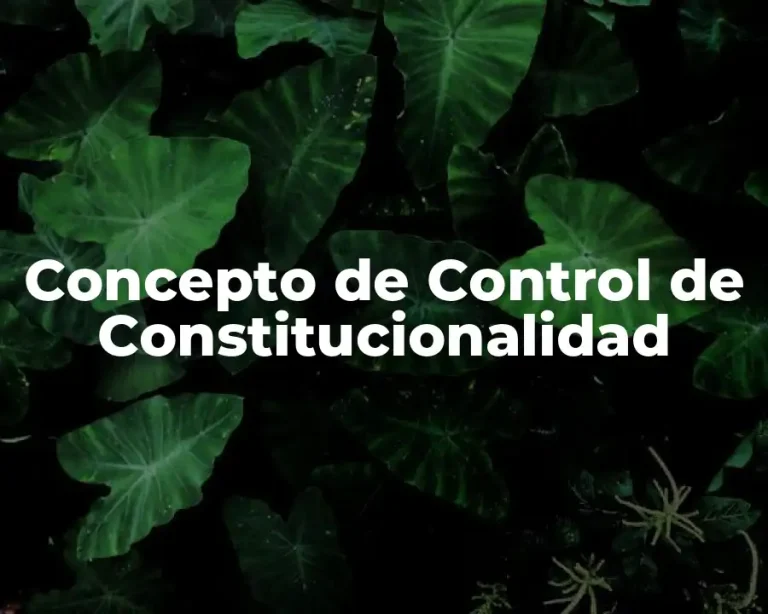 Concepto de Control de Constitucionalidad