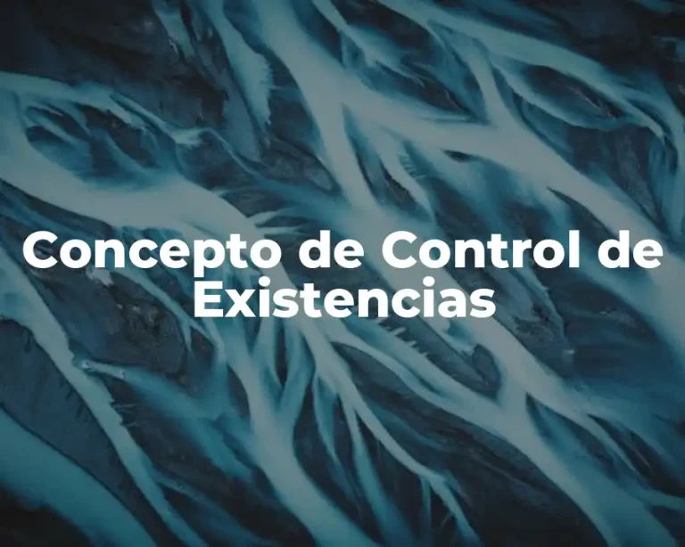 Concepto de Control de Existencias