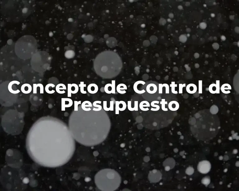 Concepto de Control de Presupuesto