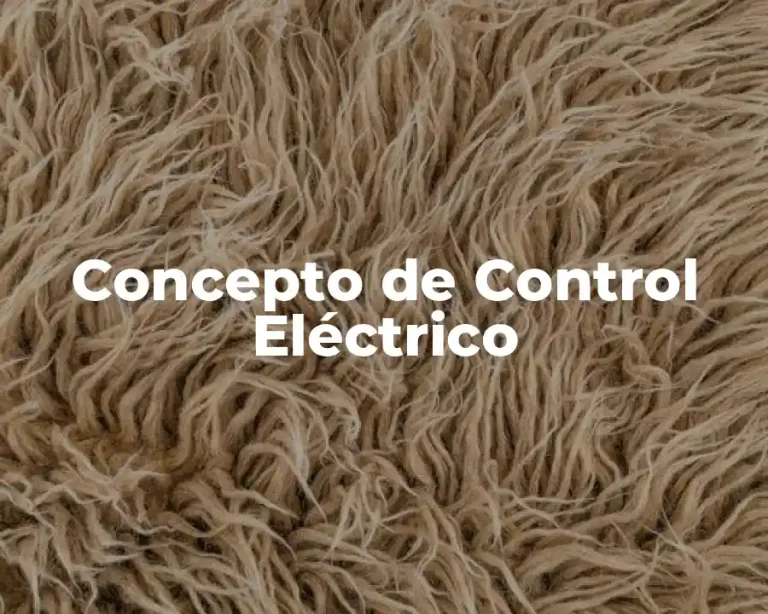 Concepto de Control Eléctrico