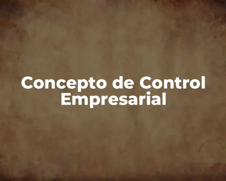 Concepto de Control Empresarial