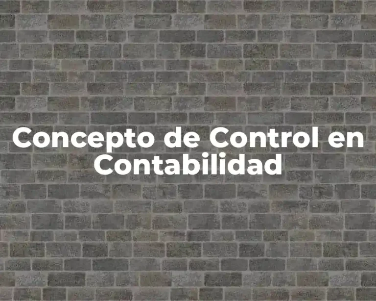 Concepto de Control en Contabilidad