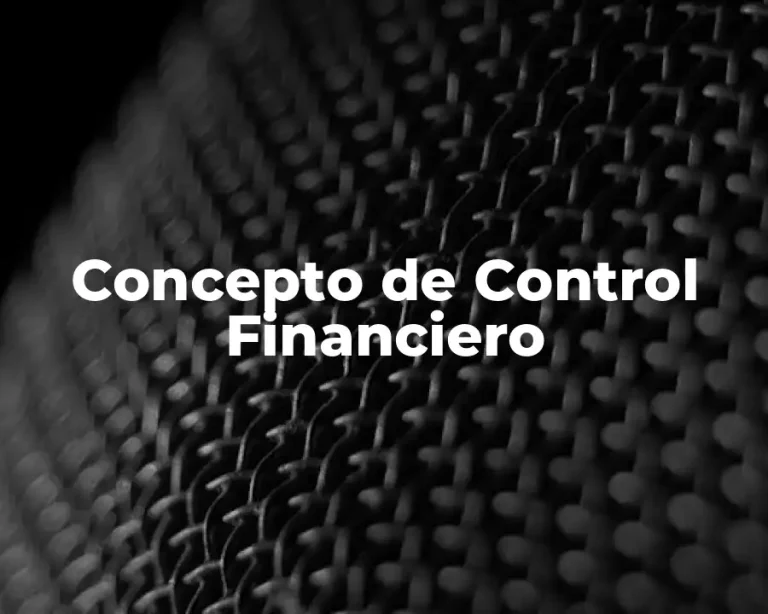 Concepto de Control Financiero