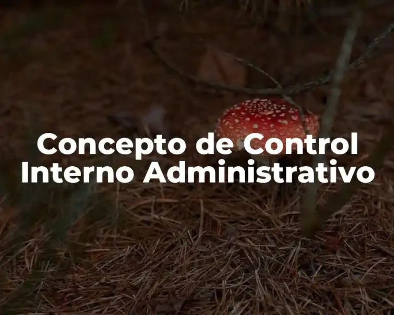 Concepto de Control Interno Administrativo