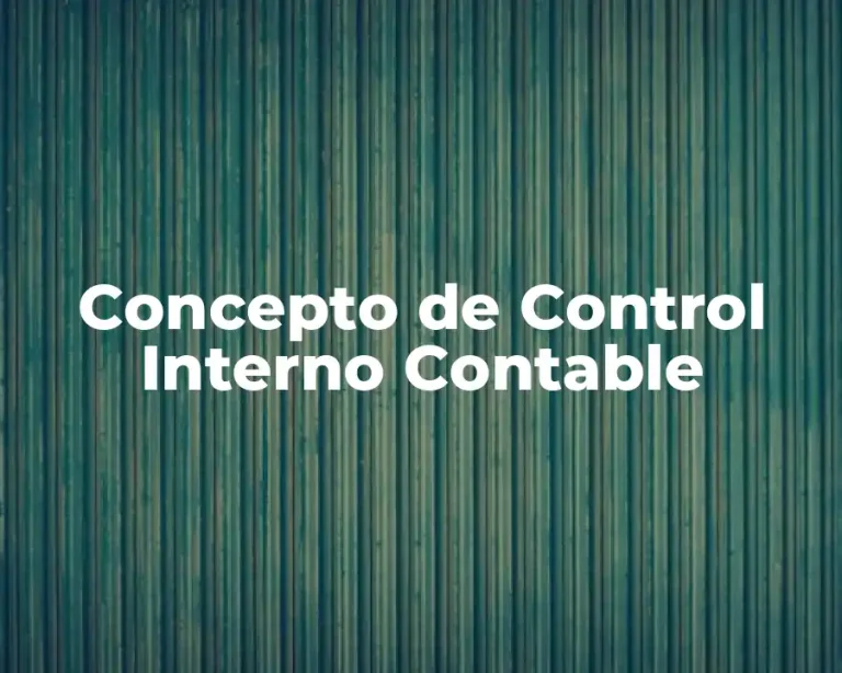 Concepto de Control Interno Contable