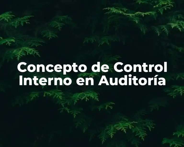 Concepto de Control Interno en Auditoría