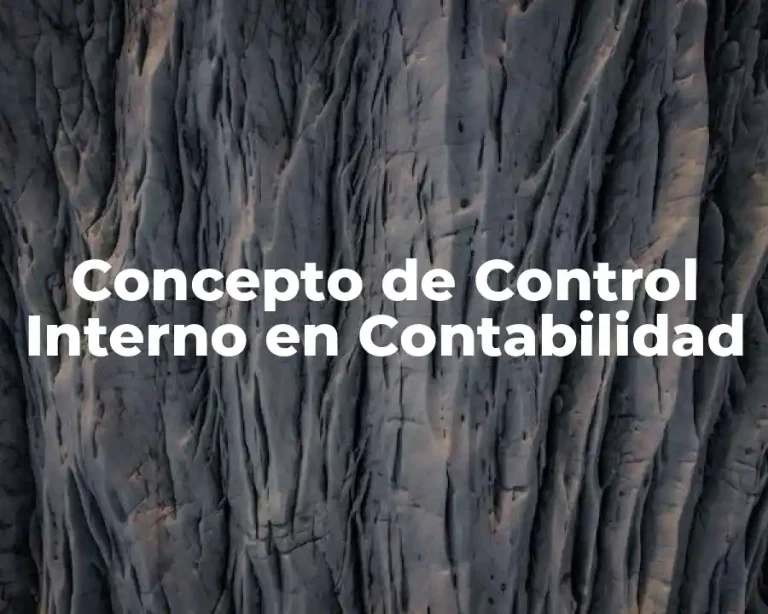 Concepto de Control Interno en Contabilidad