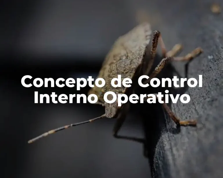 Concepto de Control Interno Operativo