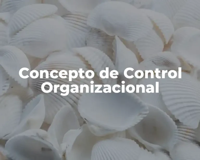 Concepto de Control Organizacional