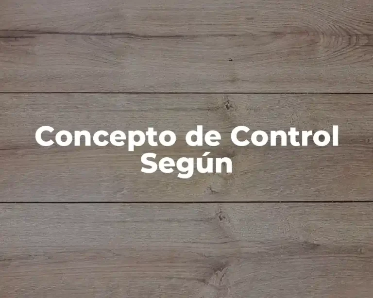 Concepto de Control Según