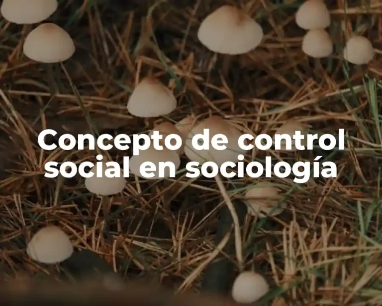 Concepto de control social en sociología