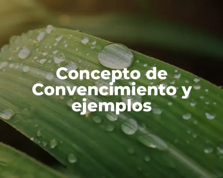 Concepto de Convencimiento y ejemplos