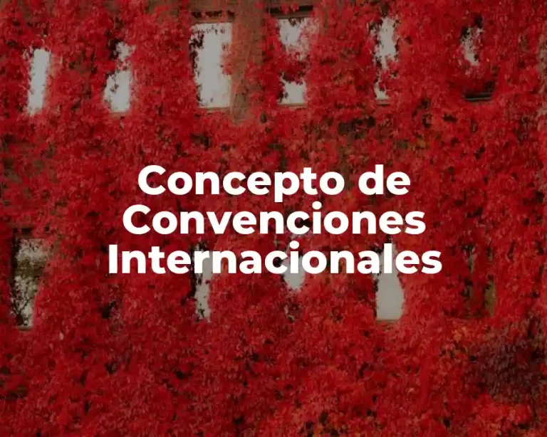 Concepto de Convenciones Internacionales