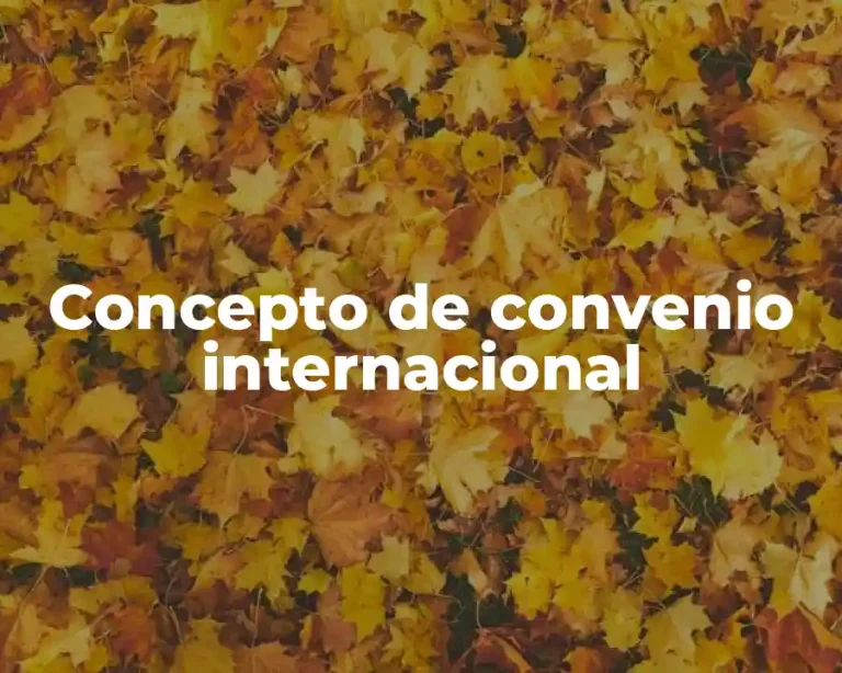 Concepto de convenio internacional
