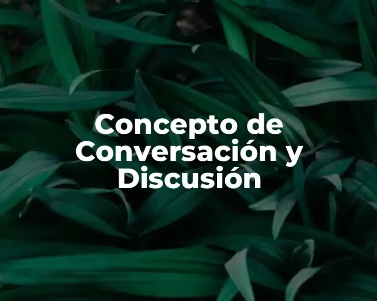 Concepto de Conversación y Discusión