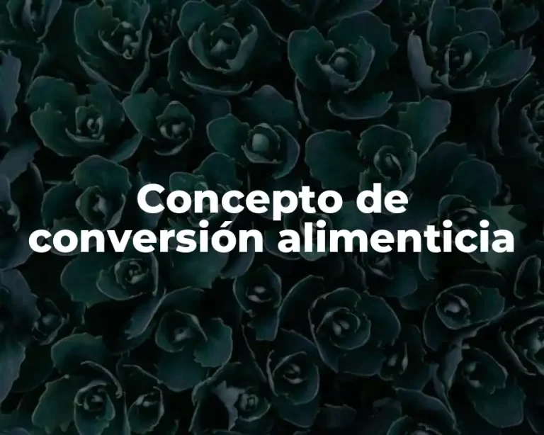 Concepto de conversión alimenticia