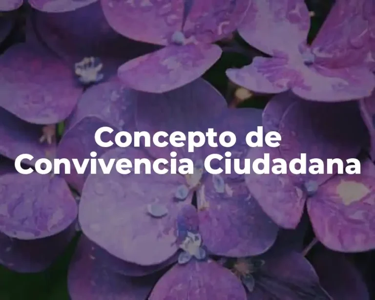 Concepto de Convivencia Ciudadana