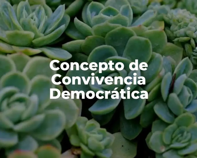 Concepto de Convivencia Democrática