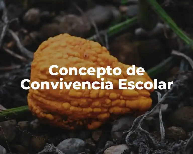 Concepto de Convivencia Escolar