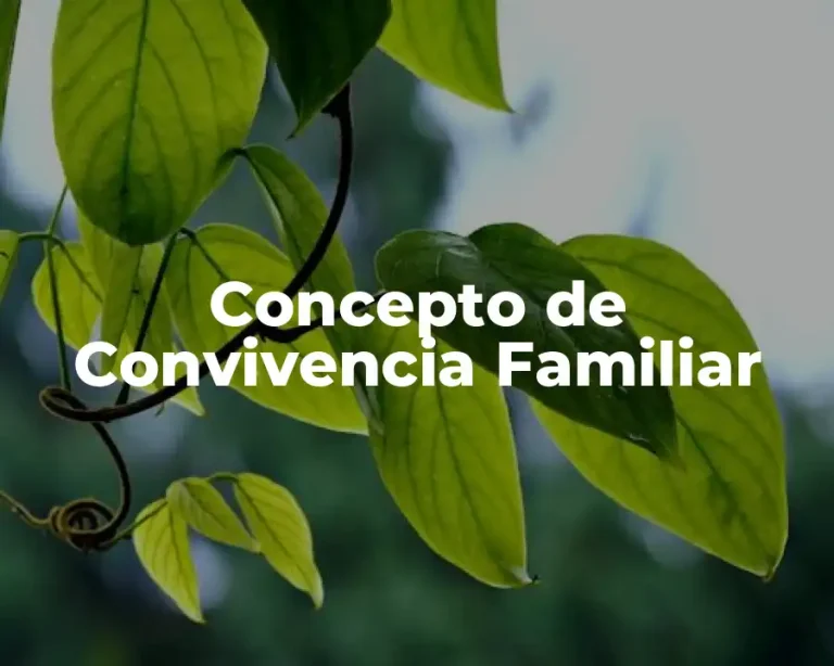 Concepto de Convivencia Familiar