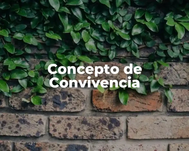 Concepto de Convivencia