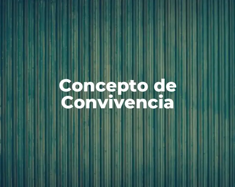 Concepto de Convivencia