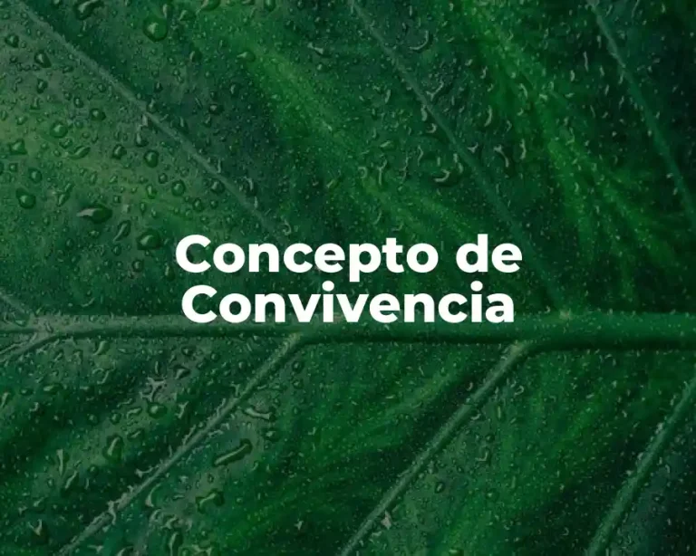 Concepto de Convivencia