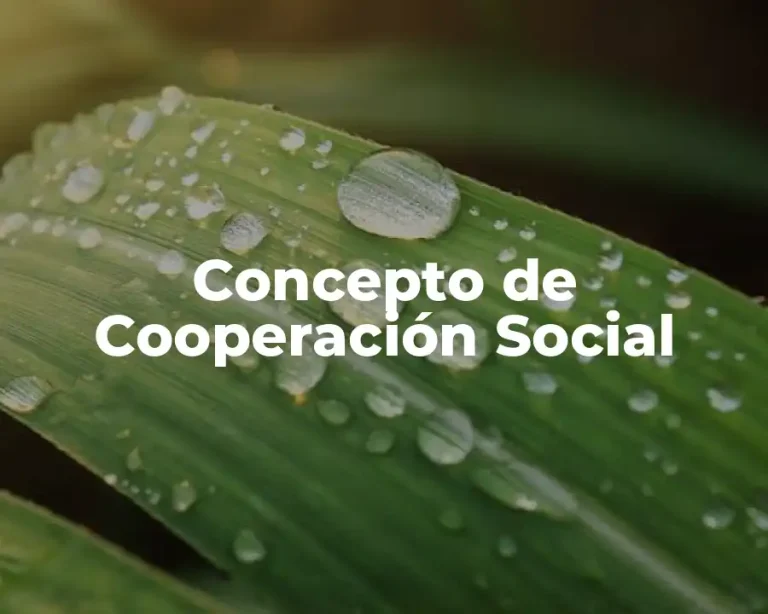 Concepto de Cooperación Social
