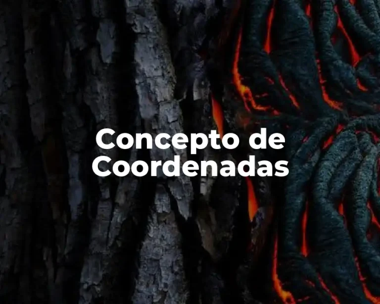 Concepto de Coordenadas
