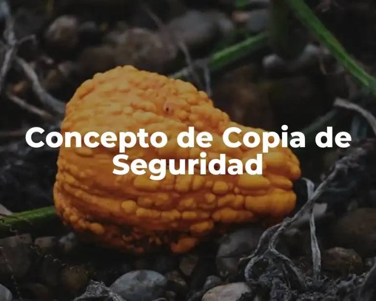 Concepto de Copia de Seguridad
