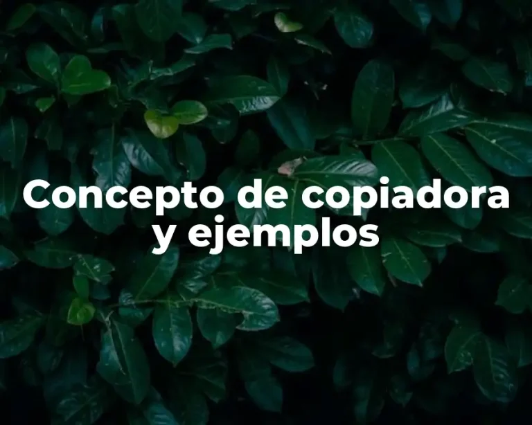Concepto de copiadora y ejemplos