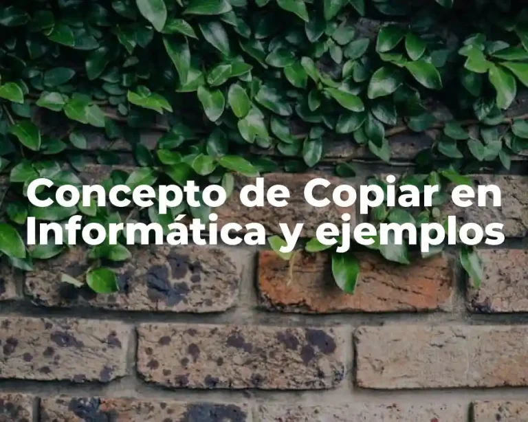 Concepto de Copiar en Informática y ejemplos