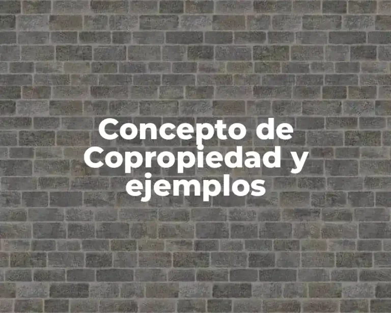 Concepto de Copropiedad y ejemplos