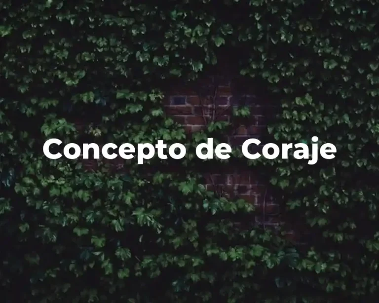 Concepto de Coraje