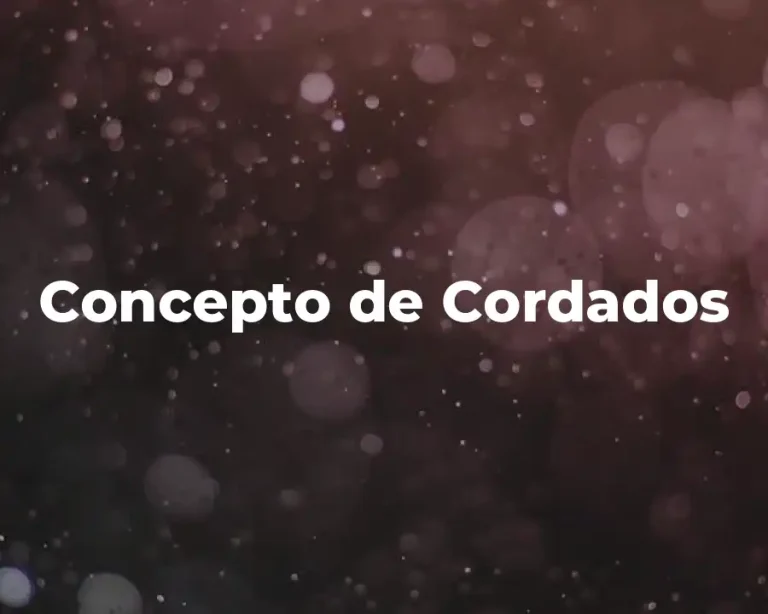 Concepto de Cordados