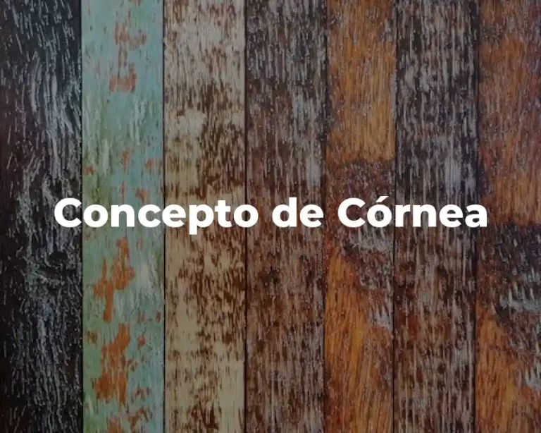 Concepto de Córnea