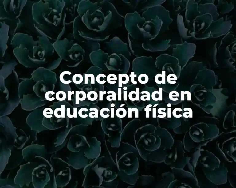 Concepto de corporalidad en educación física
