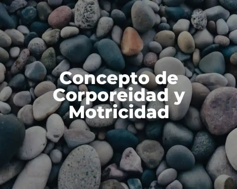 Concepto de Corporeidad y Motricidad