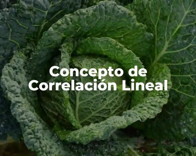 Concepto de Correlación Lineal
