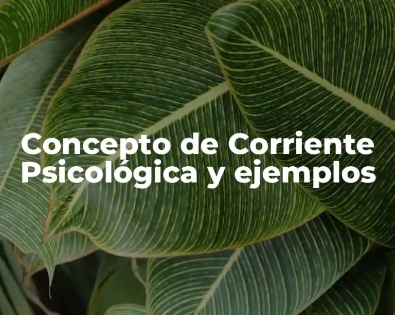Concepto de Corriente Psicológica y ejemplos