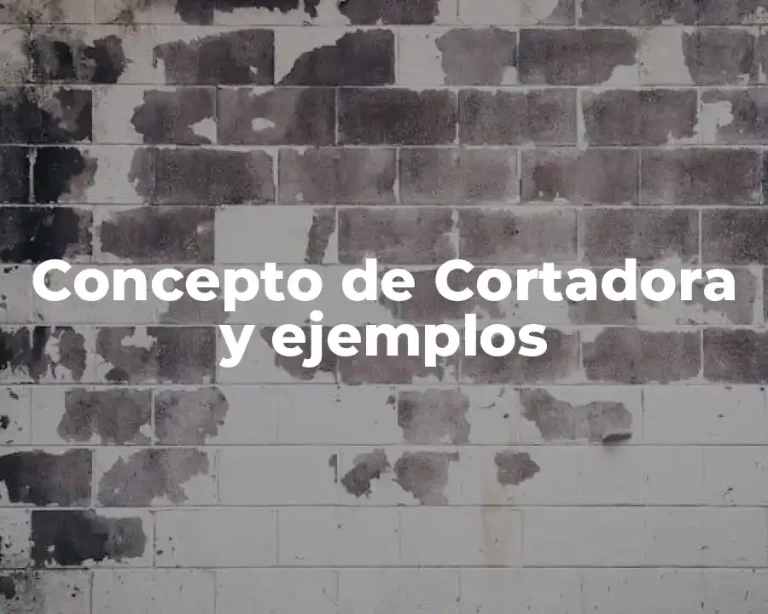 Concepto de Cortadora y ejemplos