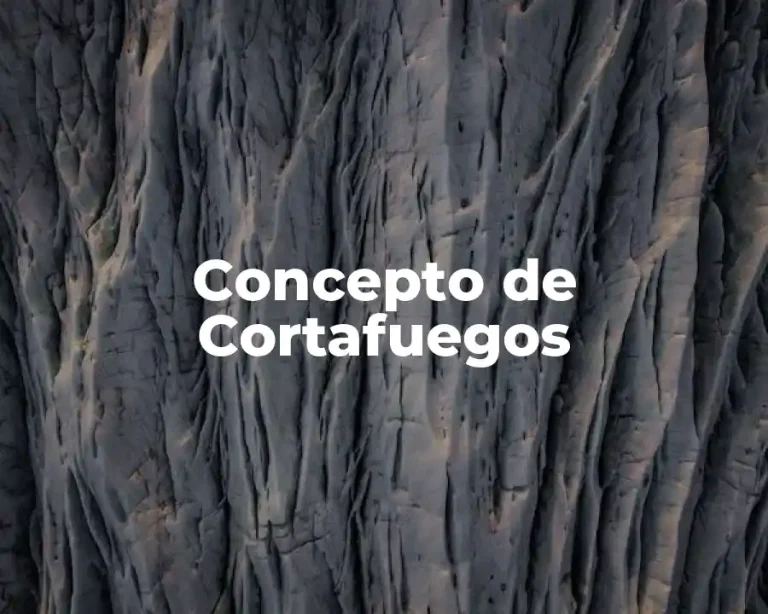 Concepto de Cortafuegos