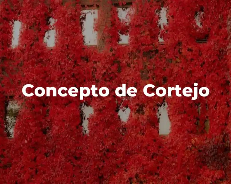 Concepto de Cortejo