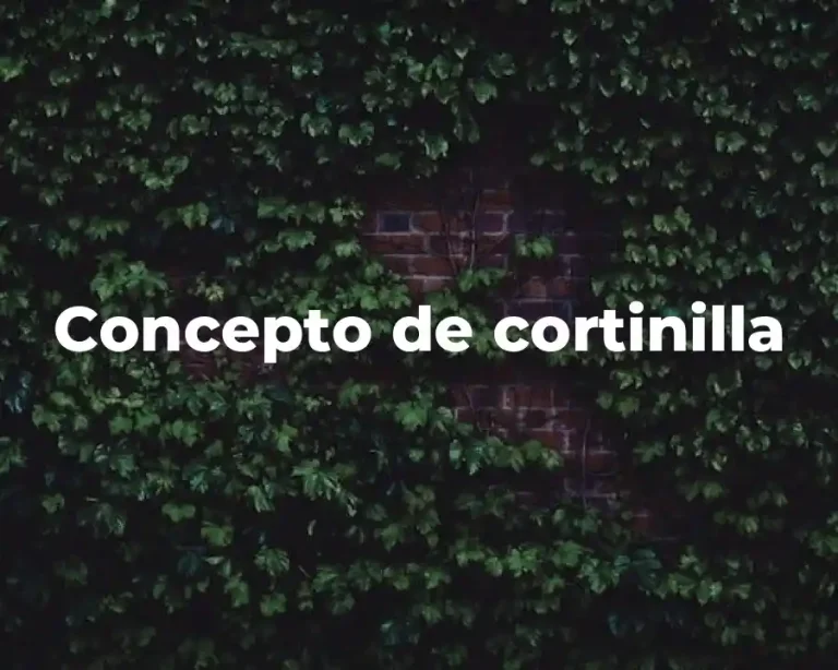 Concepto de cortinilla