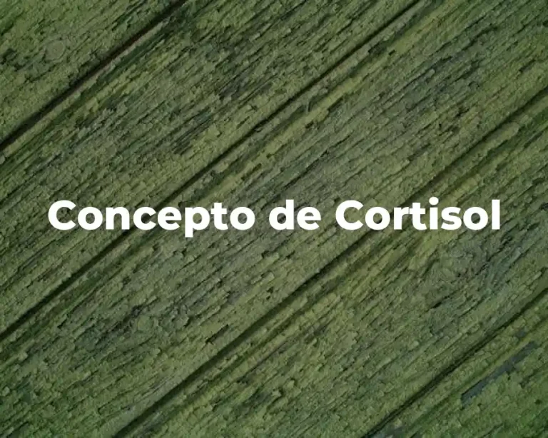 Concepto de Cortisol