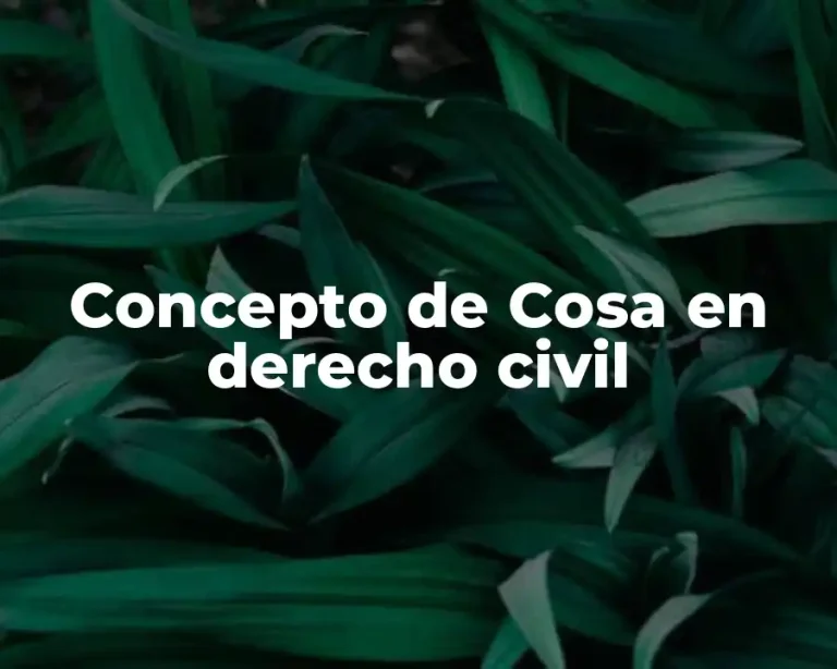 Concepto de Cosa en derecho civil