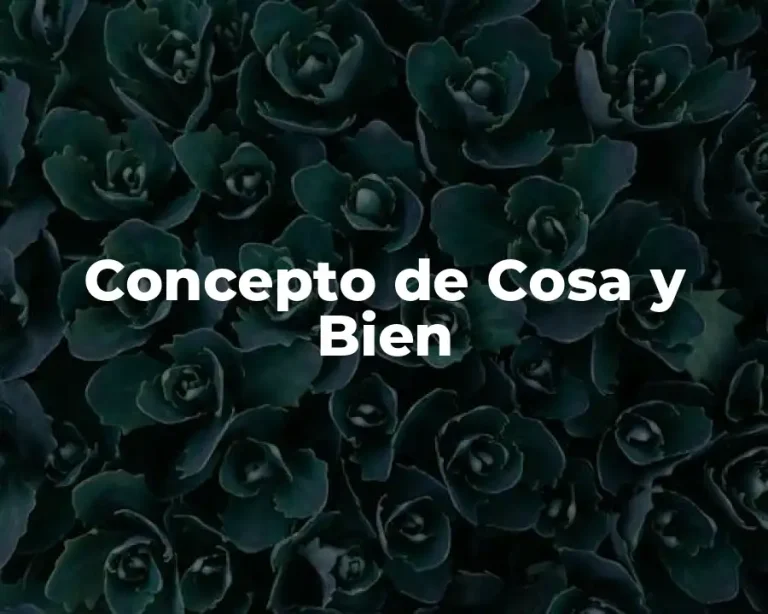 Concepto de Cosa y Bien