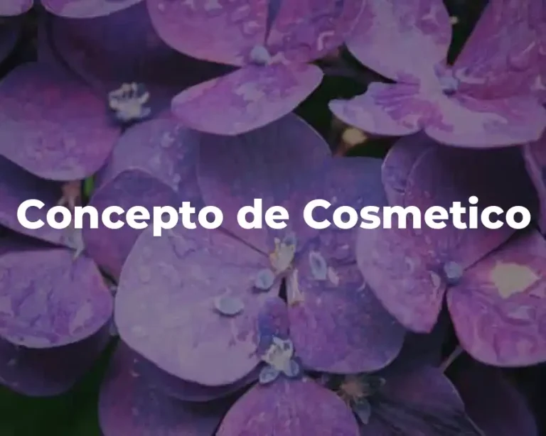 Concepto de Cosmetico